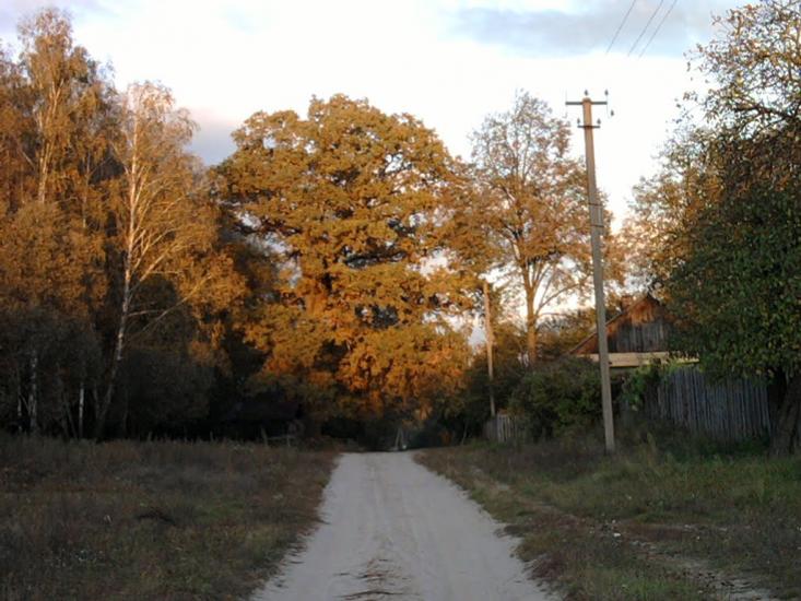 Туранівка з panoramio.com - Туранівка