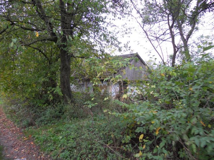 Григорів з panoramio.com - Григорів