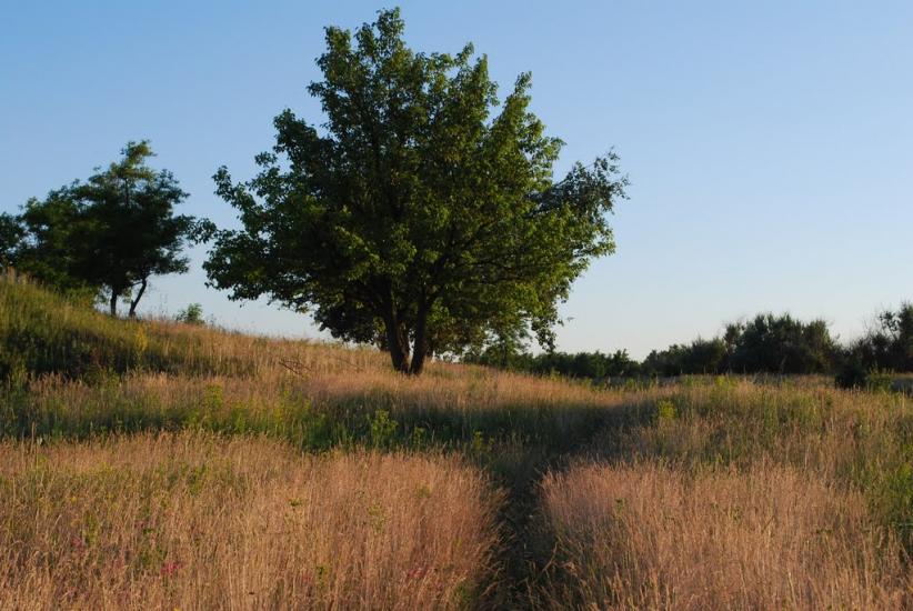 Кіровськ з panoramio.com - Кировск