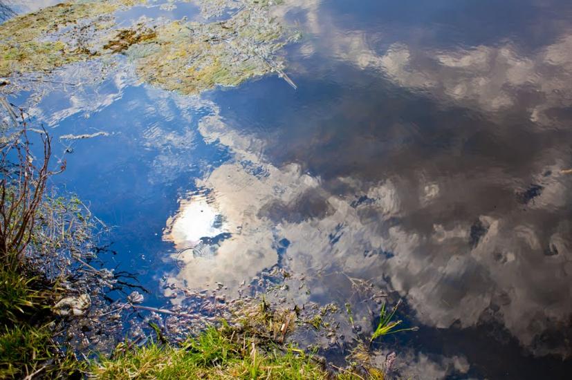 Першотравневе з panoramio.com - Першотравневе