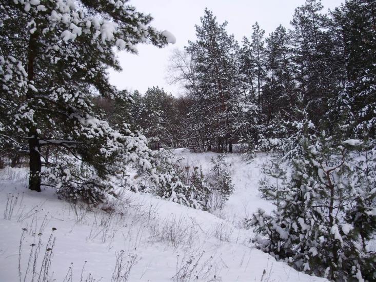 Кочережки з panoramio.com - Кочережки