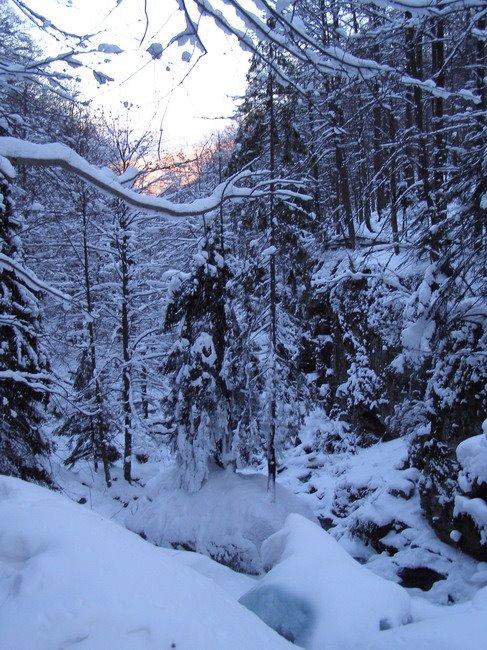 Полянська Гута з panoramio.com - Полянская Гута