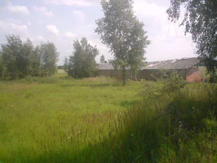 Деревини з panoramio.com - Деревини