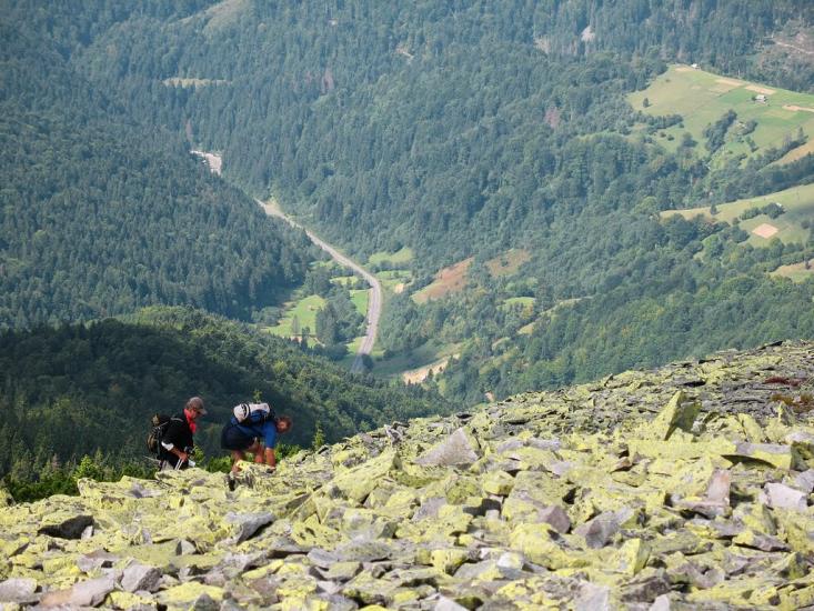 Стригальня з panoramio.com - Стригальняя