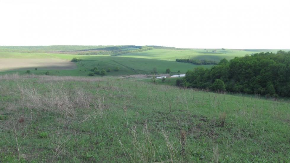 Гутницька з panoramio.com - Гутницька