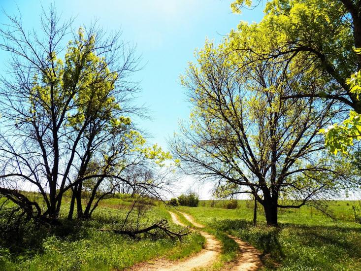 Велика Мартинівка з panoramio.com - Велика Мартинівка