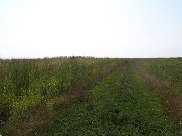 Кустівці з panoramio.com - Кустівці