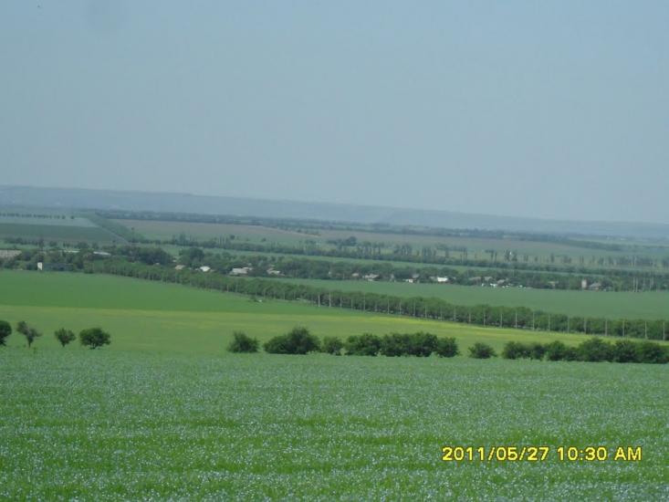Лучинське з panoramio.com - Лучинское