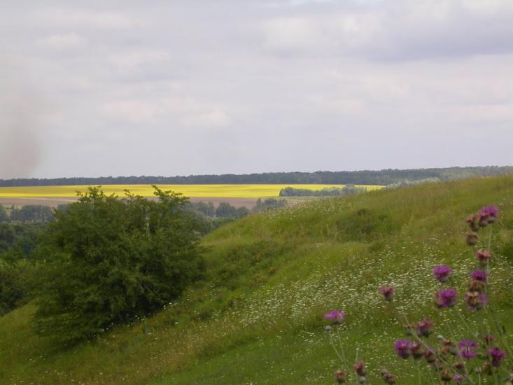 Ручки з panoramio.com - Ручки