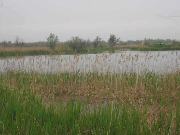 Удобне з panoramio.com - Udobne