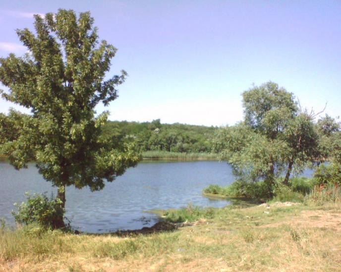 Павлопіль з panoramio.com - Павлопіль