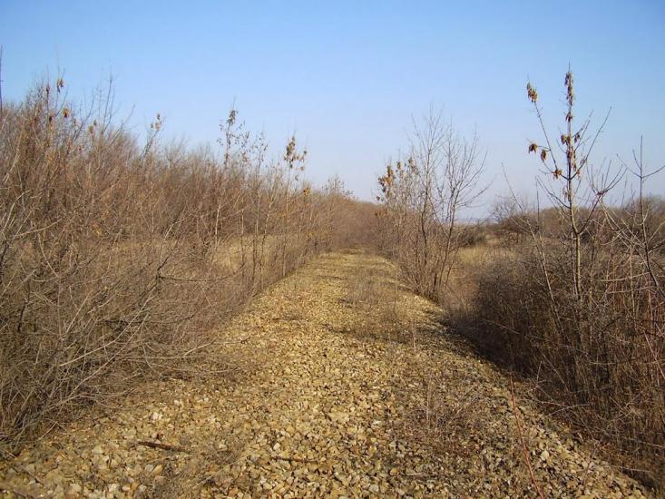 Весняне з panoramio.com - Весняне