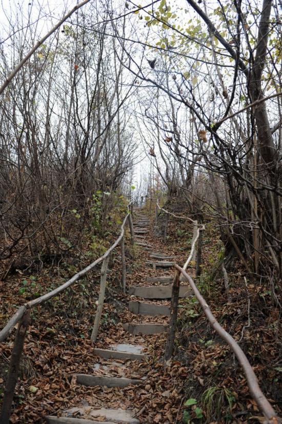 Вишній Дубовець з panoramio.com - Вишній Дубовець