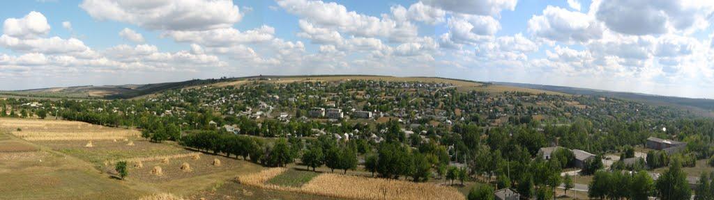 Домниця з panoramio.com - Domnytsya