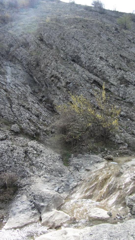Зеленогір'я з panoramio.com - Зеленогорье