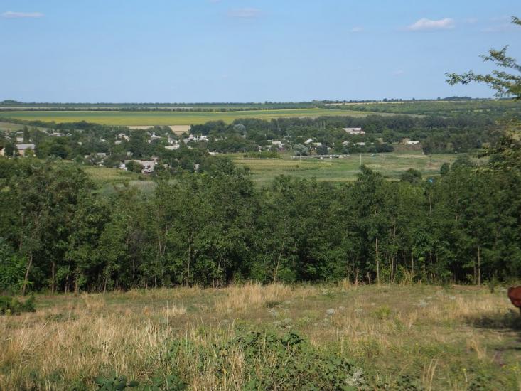 Кузнецове з panoramio.com - Кузнецово