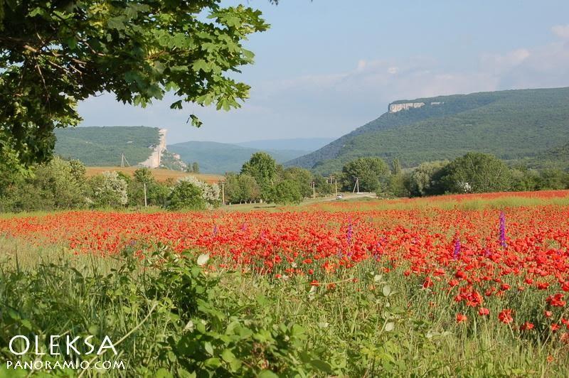 Передущельне з panoramio.com - Предущельное