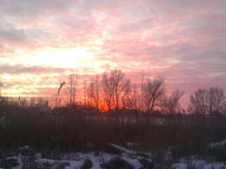 Веселий Кут з panoramio.com - Веселый Кут