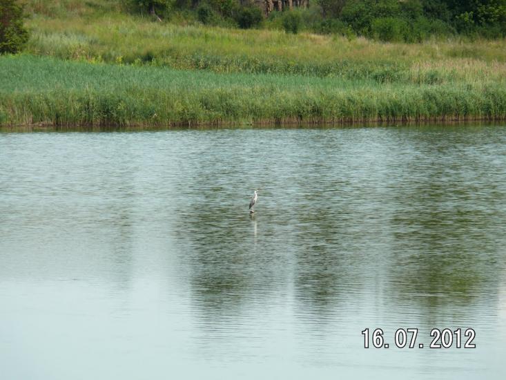 Високопілля з panoramio.com - Vysokopillya
