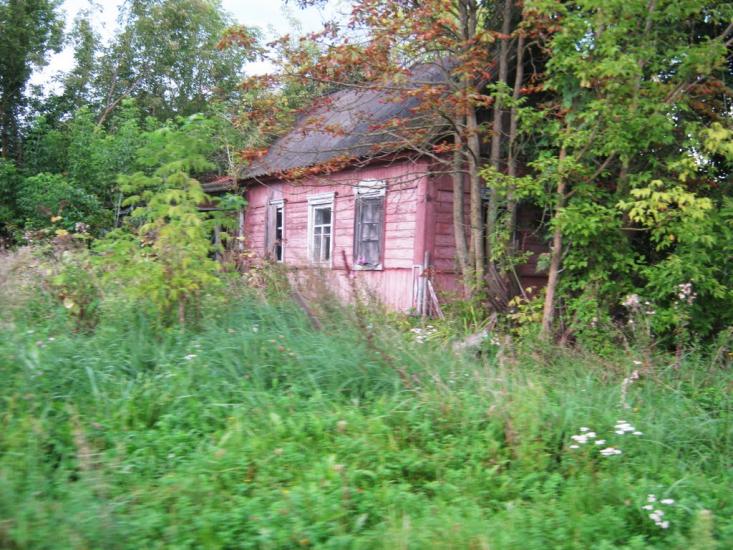 Деревини з panoramio.com - Derevyny