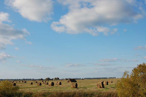 Колодниця з panoramio.com - Колодниця