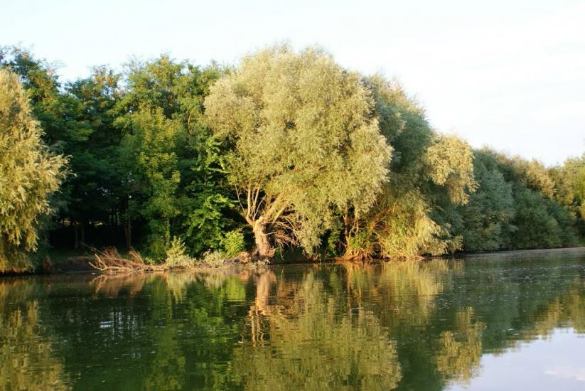 Кокошинці з panoramio.com - Кокошинці
