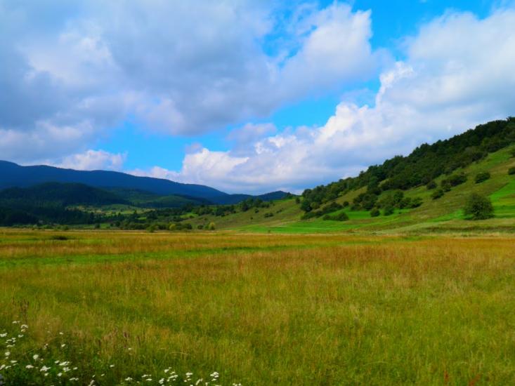 Старий Мізунь з panoramio.com - Старий Мізунь