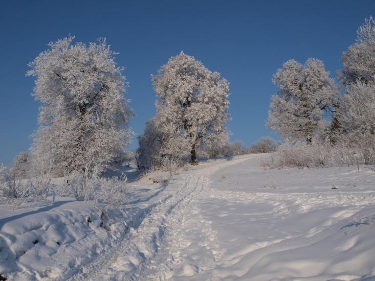 Вибудів з panoramio.com - Вибудів