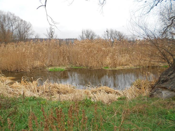 Деменці з panoramio.com - Dementsi