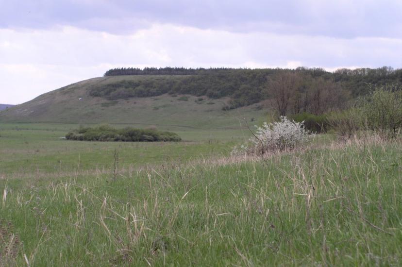 Красна Талівка з panoramio.com - Красная Таловка