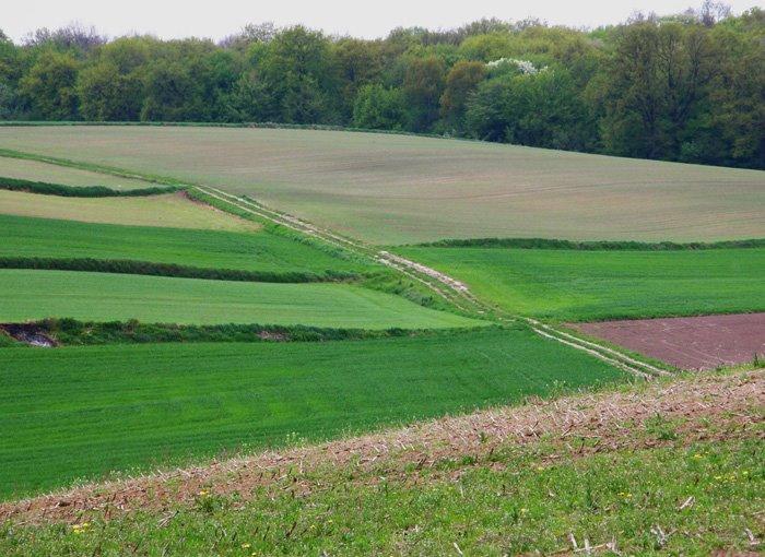 Корчів з panoramio.com - Корчев