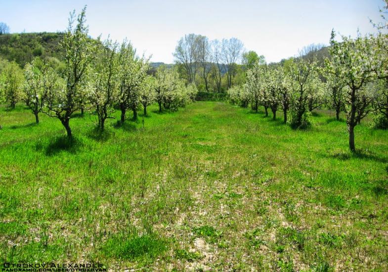 Некрасовка з panoramio.com - Некрасовка