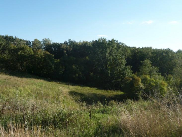 Бабаї з panoramio.com - Babayi
