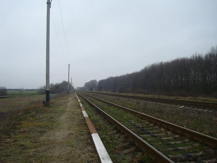 Воронківці з panoramio.com - Воронковцы