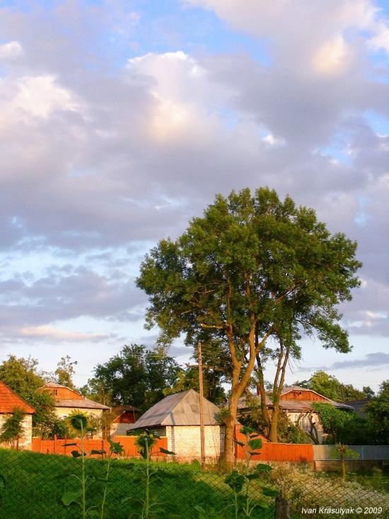 Бобрівники з panoramio.com - Бобрівники