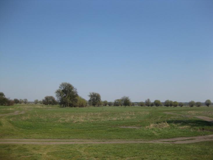 Плавні з panoramio.com - Плавни