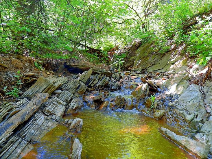 Велика Мартинівка з panoramio.com - Велика Мартинівка