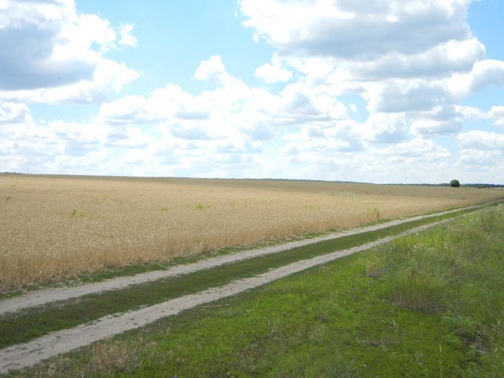 Введенка з panoramio.com - Введенка