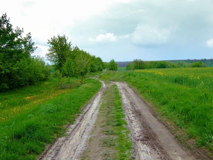 Острів з panoramio.com - Острів