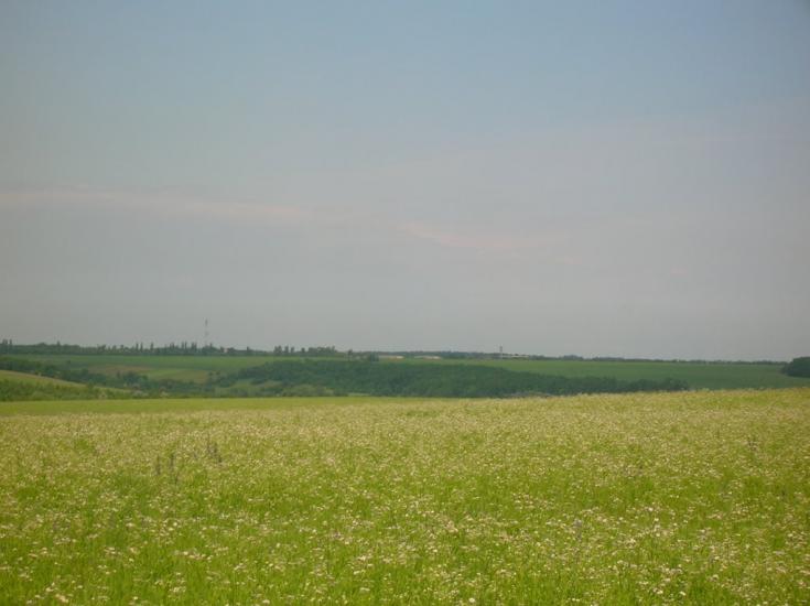 Веселий Кут з panoramio.com - Веселий Кут