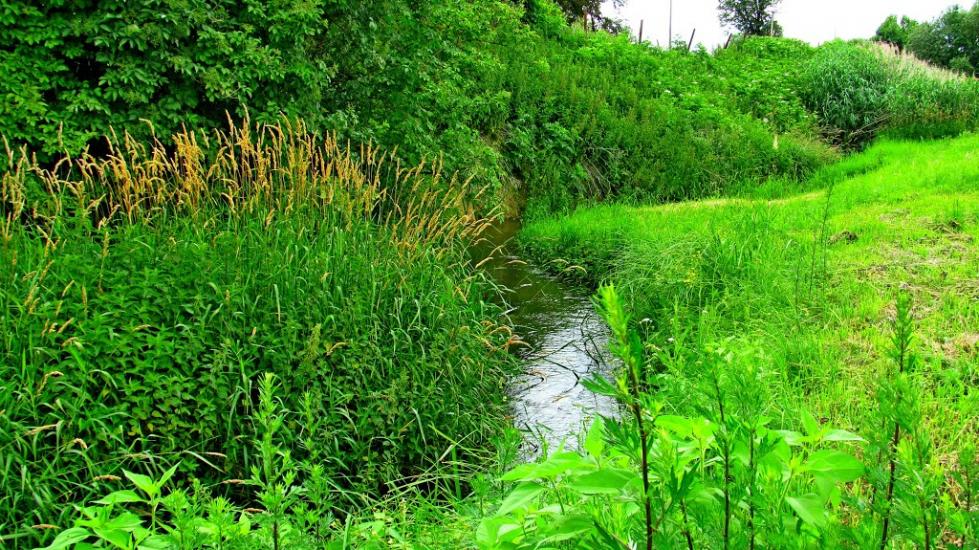 Пониква з panoramio.com - Ponykva