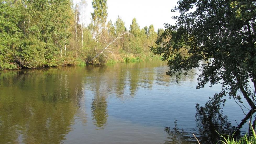 Прохорів з panoramio.com - Прохоров