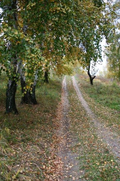 Вільшани з panoramio.com - Ольшаны