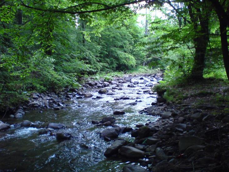 Чабин з panoramio.com - Чабин