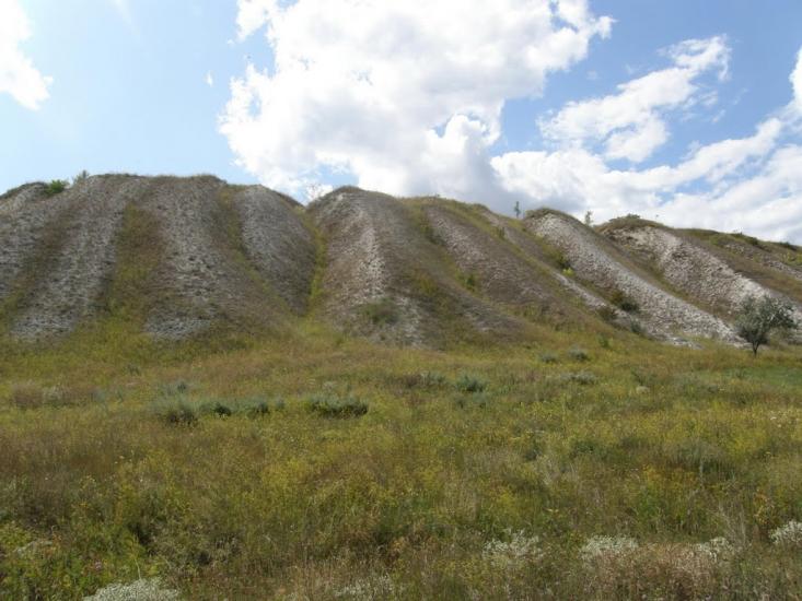 Мілуватка з panoramio.com - Меловатка
