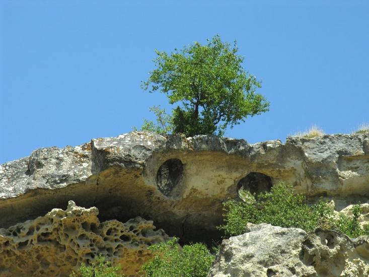 Малинівка з panoramio.com - Малиновка