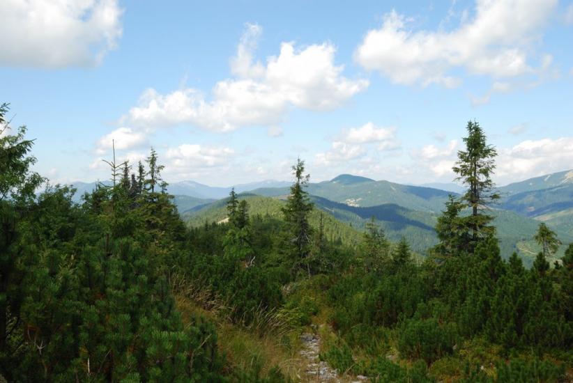 Згари з panoramio.com - Згары
