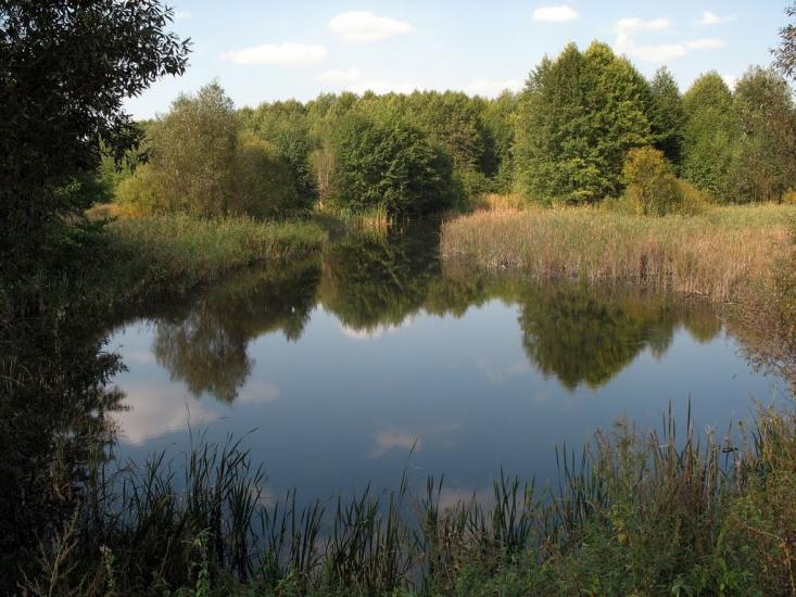 Клишки з panoramio.com - Клишки