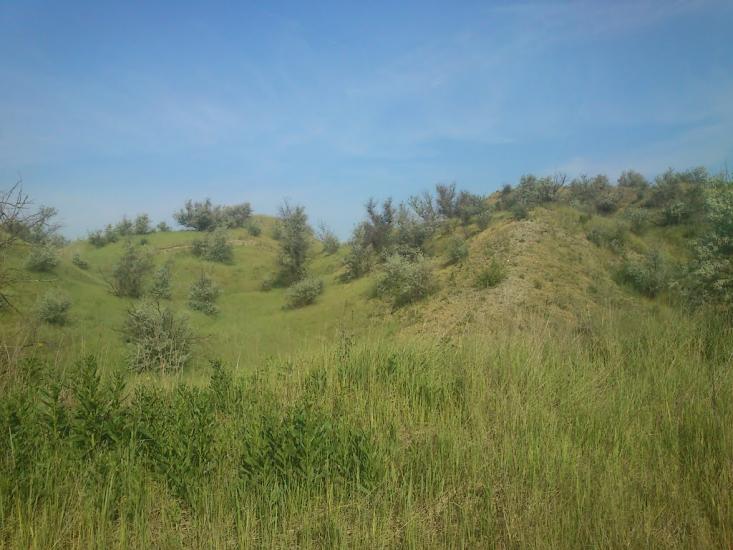 Орджонікідзе з panoramio.com - Орджоникидзе