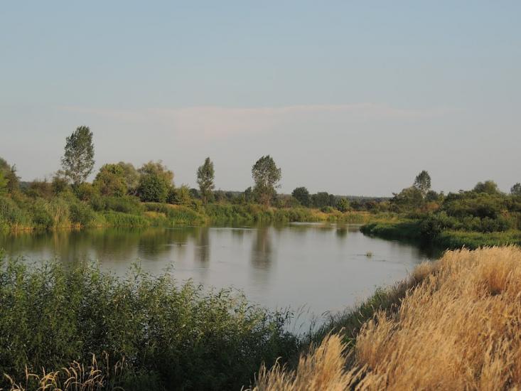 Андріївка з panoramio.com - Андріївка